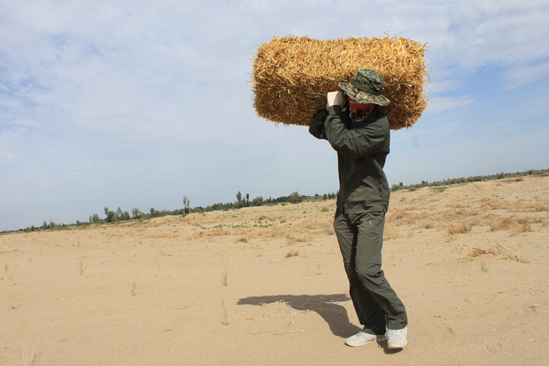 �F�T���i�������������ϳ����������������؟����