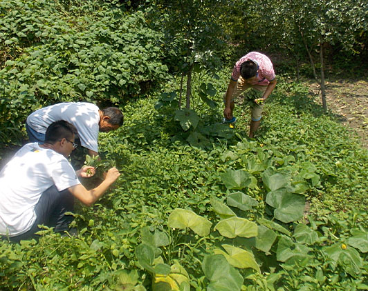 �ڶ�����꠆T���_ʼ�������B(t��i)�r(n��ng)���w��r(n��ng)��������������ժ����