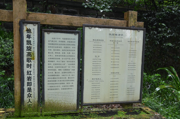 �D6 �ۇ�Ů���I(y��)������ģͬ־����Ԋ�~���ޝ�� �z��