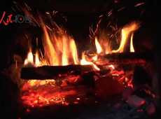 �t��t����~����������ʳ���ρ�