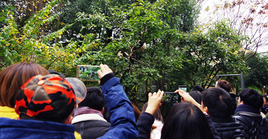 �@�����ӵ������ɶ����W(w��ng)�j(lu��)���ˁ�(l��i)�c(di��n)ٝ