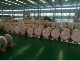 雙玻璃絲包線有哪些特征？